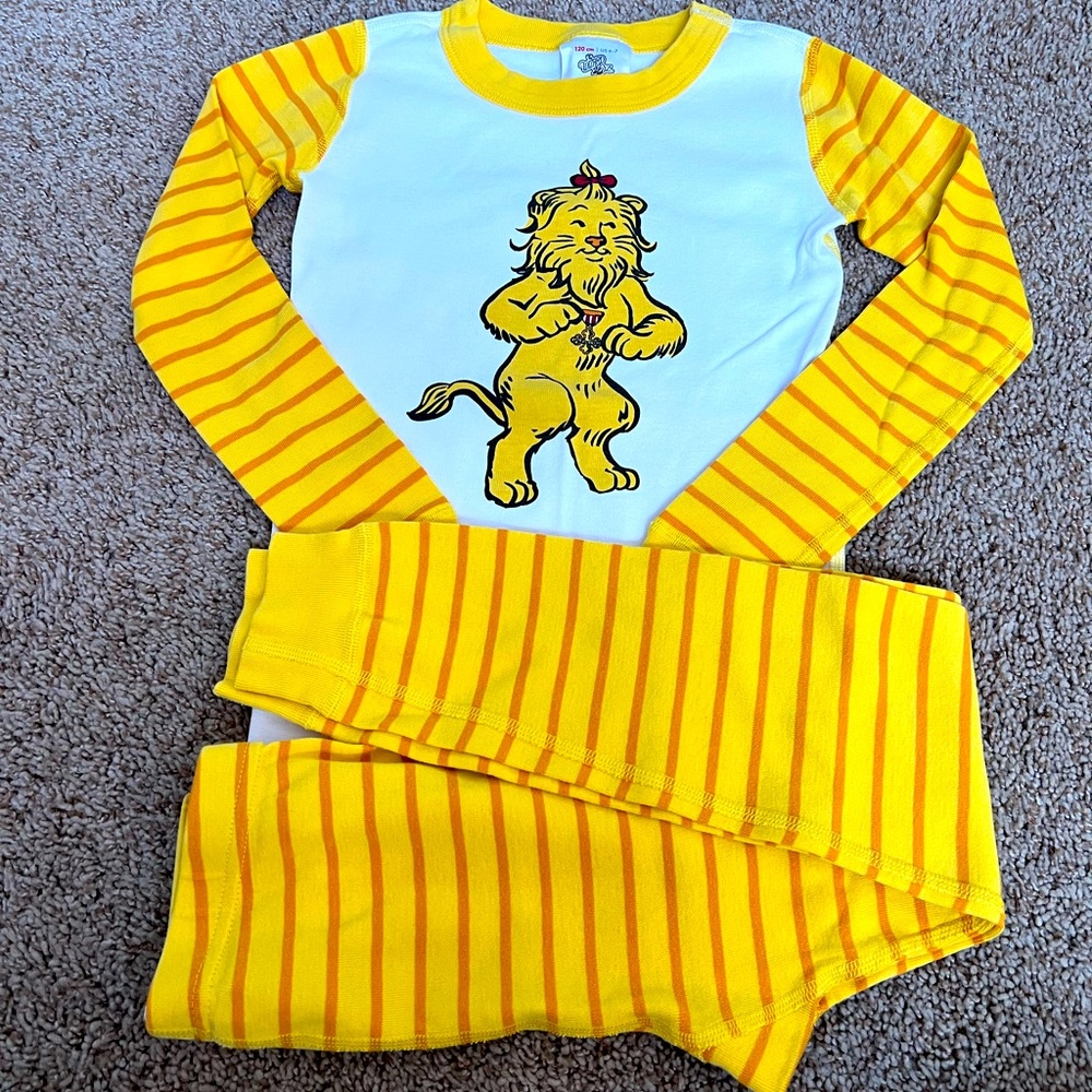 Wizard of Oz 🦁 Jammies👠